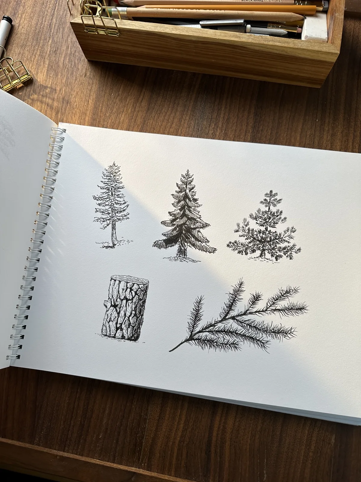Illustration by Michael James Clarke